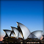 A Blue Perspective: The Man in Sydney